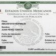 La CURP certificada se puede descargar gratis en línea y es necesaria para realizar trámites. Foto: Sora IA
