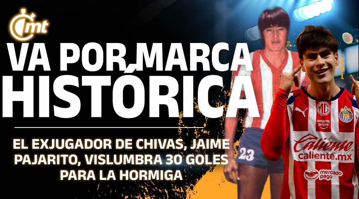 Hormiga a punto de hacer historia