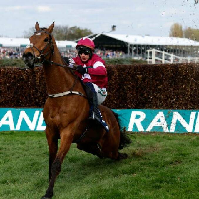 Muere caballo "Gold Dancer" tras ganar carrera / Reuters