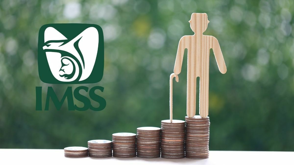 Pensiones IMSS: este es el año en que dejaron de ser garantizadas (Foto: Especial)