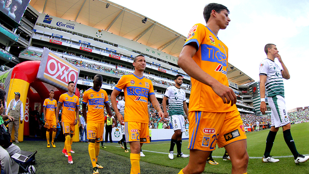 tigres gde del norte