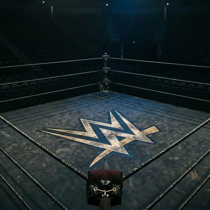 WWE despide a varios luchadores en un nuevo viernes negro (Gemini)