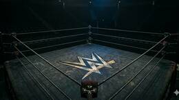 WWE despide a varios luchadores en un nuevo viernes negro (Gemini)