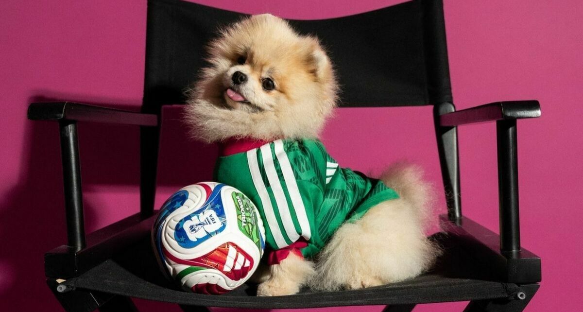 ¡De lujo! Adidas anuncia jerseys del Mundial 2026 para mascotas: precios y cuándo obtenerlos. (@adidasfootball | X).