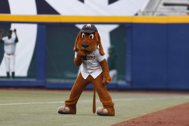 El Perro Sultán estuvo presente en el duelo de Monterrey (Roberto Alanís)
