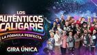 Conoce la fecha de preventa de Los Auténticos Caligaris en su gira por México. Foto: OCESA