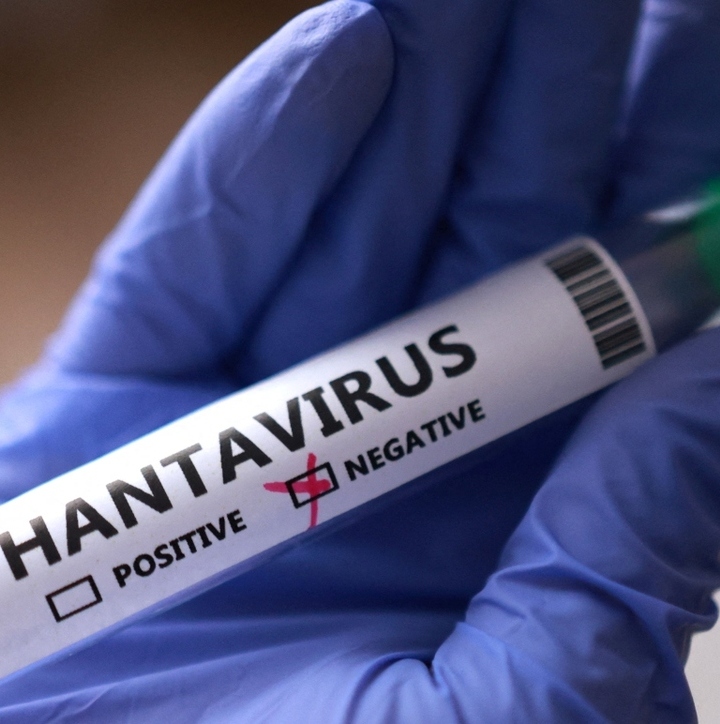 La OMS hizo un llamado a la población a extremar precuaciones ante el aumento de casos de hantavirus. Foto: Reuters