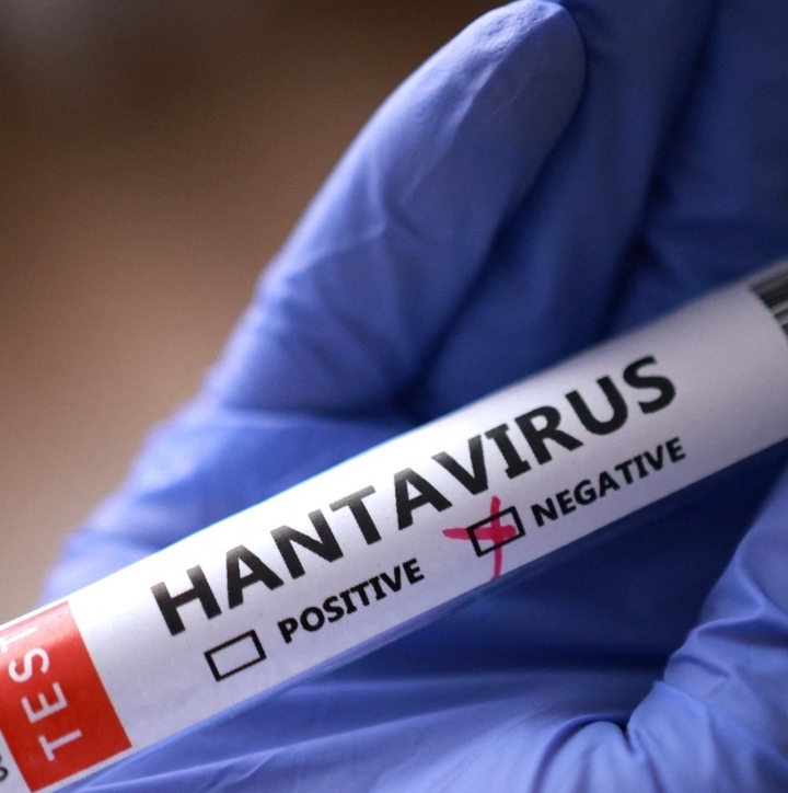 La OMS hizo un llamado a la población a extremar precuaciones ante el aumento de casos de hantavirus. Foto: Reuters