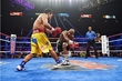 Floyd Mayweather Jr vs pacquiao