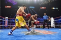 Floyd Mayweather Jr vs pacquiao