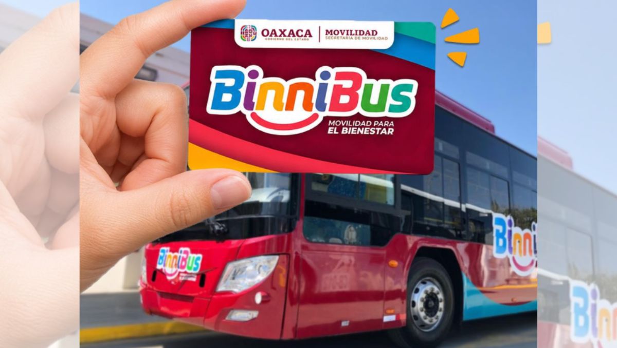 Así puedes solicitar la tarjeta del Binnibus para adultos mayores