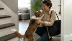 La emoción de tu perro al verte llegar a casa puede indicar que sufre de ansiedad por separación. Foto: ChatGPT