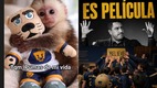 Pumas se metió a la Final del CL2026 de la Liga MX (Captura X)