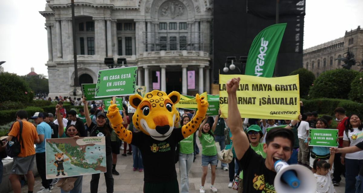 Convocan a marcha en CDMX en contra del proyecto Perfect Day México | Foto: Greenpeace