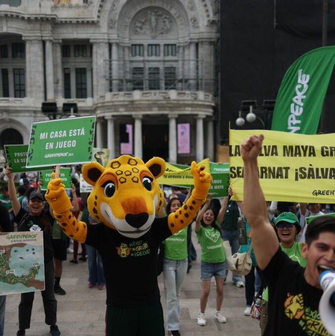 Convocan a marcha en CDMX en contra del proyecto Perfect Day México | Foto: Greenpeace