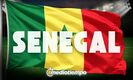 Senegal: el campeón de África que va por la historia / Especial