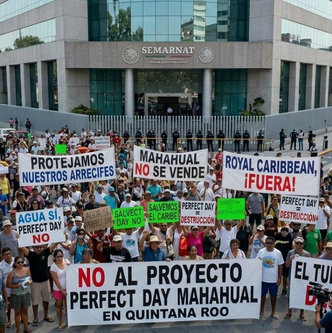 Marcha vs Perfect Day Mahuhual; a qué hora inicia y dónde se reunirán | Foto: gemini