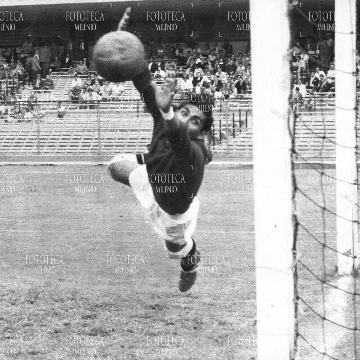 Antonio 'La Tota' Carvajal en lance. Foto: Fototeca Milenio