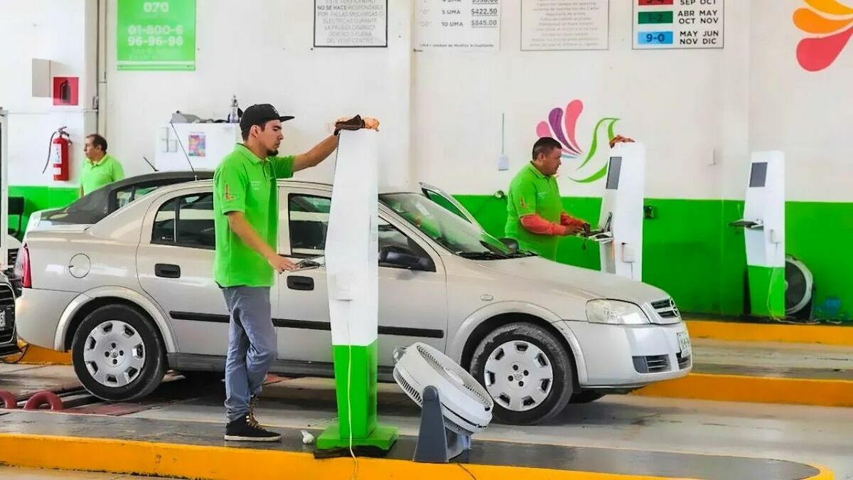 Estos son los coches que deberán de realizar la verificación vehícular en febrero del 2026. Foto: Especial