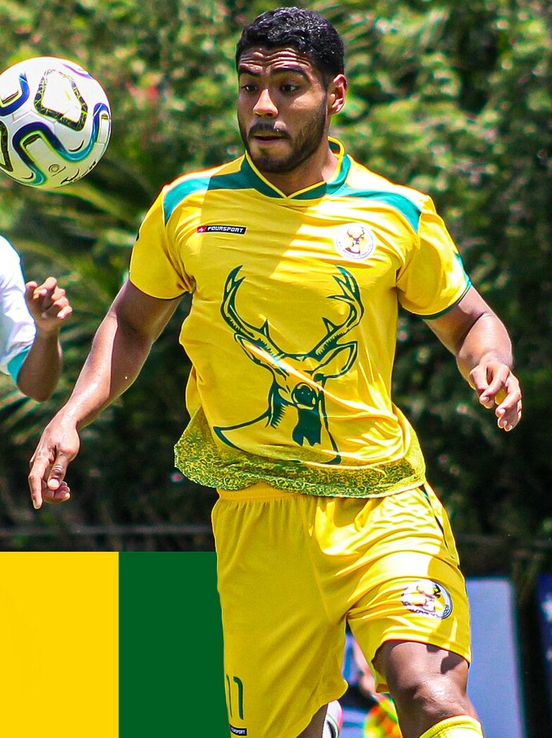 Deportiva Venados consiguió el título para poder subir (@LigaPremier_FMF)