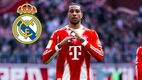 Michael Olise sería el jugador más caro en toda la historia del Real Madrid | Foto: @m.olise