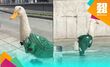 El Pato Mundialista se hizo rápidamente viral entre los aficionados (Fotografía: Capturas de video)