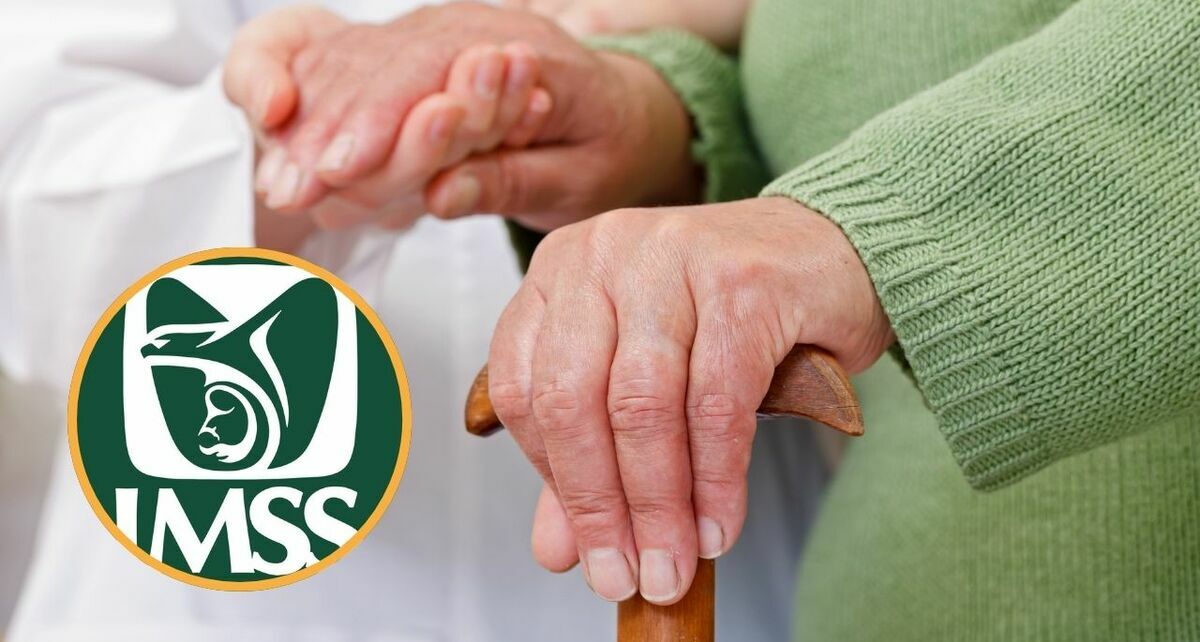 Estos pensionados deberán de tramitar su Certificado de Supervivencia del IMSS en 2026. Foto: Canva
