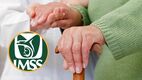 Estos pensionados deberán de tramitar su Certificado de Supervivencia del IMSS en 2026. Foto: Canva