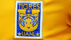 Se habría filtrado el nuevo jersey de Tigres. (Foto: Imago7)