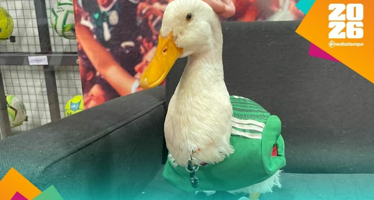 Merlín, el pato aficionado del Tri
