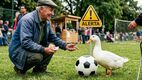 Alertan sobre compra y abandono de patos por el Mundial 2026 | Foto: Gemini