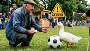 Alertan sobre compra y abandono de patos por el Mundial 2026 | Foto: Gemini