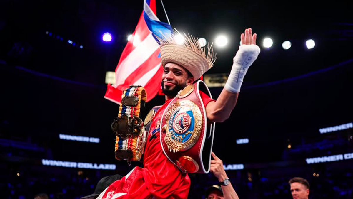 Full agenda of HOY IN VIVO box fights