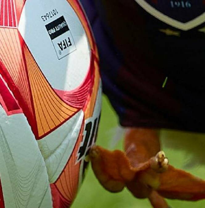 Pato Merlín es nuevo fichaje del Atlante / X: Atlante