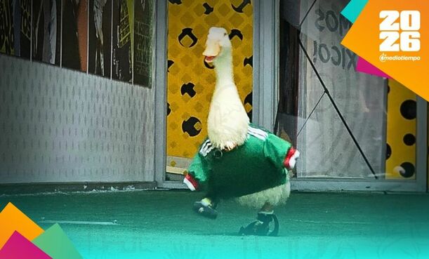El Pato Merlín se ha hecho famoso en el Mundial 2026. (Foto: MT)
