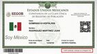 Así puedes descargar tu CURP certificada en línea y verificar que está actualizada. Foto: ChatGPT