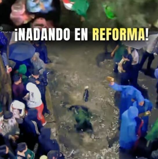 Agua estancada en el Ángel de la Independencia: las infecciones y riesgos que advierten especialistas | Foto: TikTok veridicomx y veridicomx