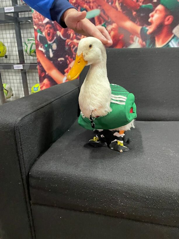 Merlín, el pato aficionado del Tri nos visitó en las instalaciones de mediotiempo
