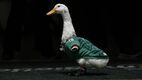 Pato Merlín visitó mediotiempo (Araceli López)