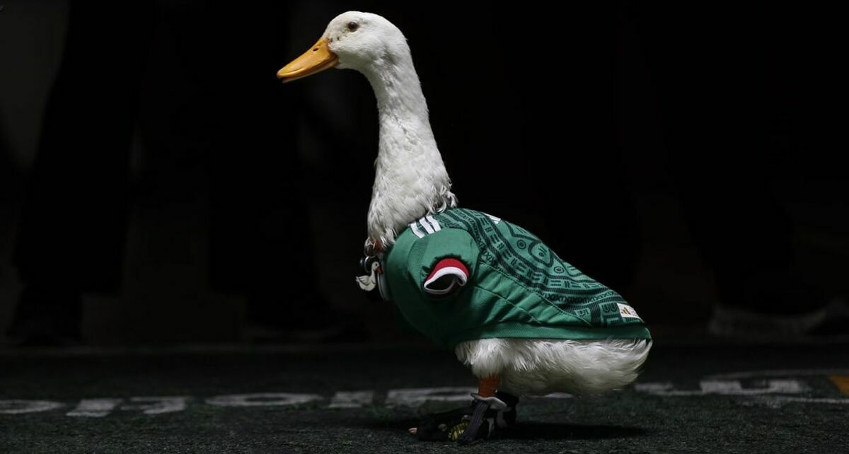 Pato Merlín visitó mediotiempo (Araceli López)