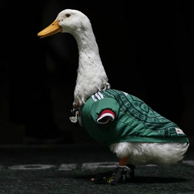 Pato Merlín visitó mediotiempo (Araceli López)