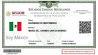 La CURP certificada puede descargarse de forma gratuita a través del portal del Gobierno de México. Foto: ChatGPT