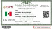 La CURP certificada puede descargarse de forma gratuita a través del portal del Gobierno de México. Foto: ChatGPT