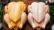 Pollo Amarillo vs Pollo Blanco ¿Cuál es mejor? (FOTO: IA Gemini)