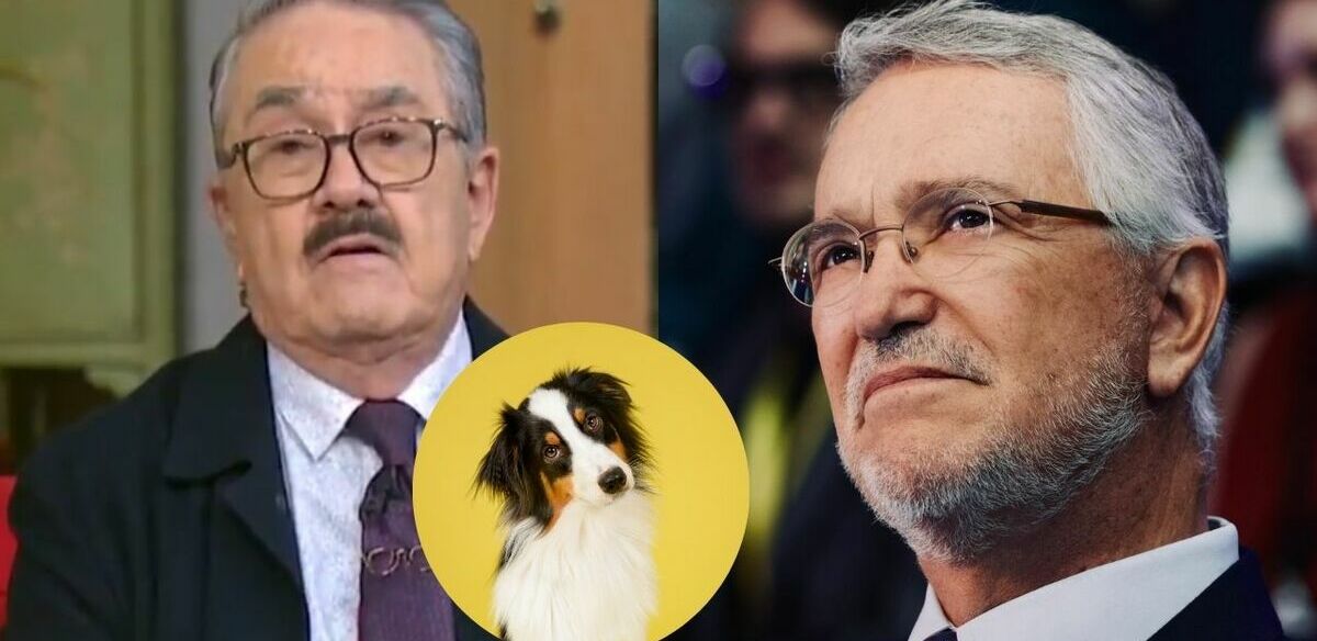 Pedro Sola y Salinas Pliego rompen silencio tras polémicos comentarios del conductor sobre mascotas. (@RicardoBSalinas | X).