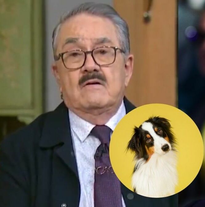 Pedro Sola y Salinas Pliego rompen silencio tras polémicos comentarios del conductor sobre mascotas. (@RicardoBSalinas | X).