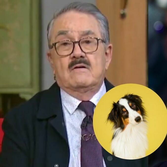 Pedro Sola y Salinas Pliego rompen silencio tras polémicos comentarios del conductor sobre mascotas. (@RicardoBSalinas | X).