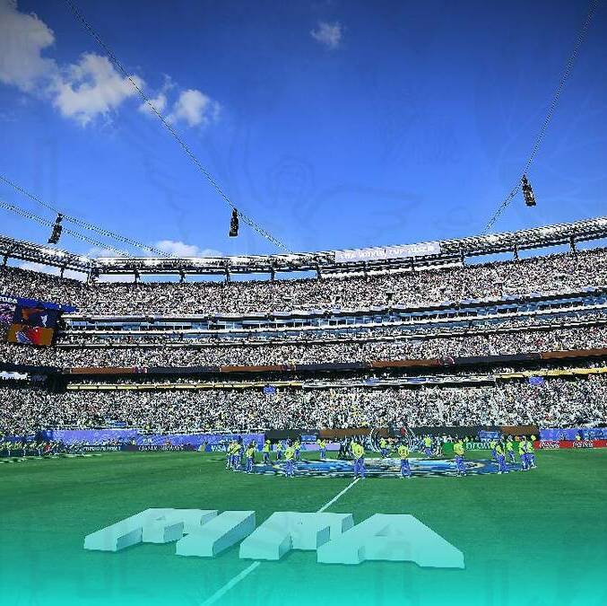 FIFA venderá césped de la Final del Mundial / Mexsport