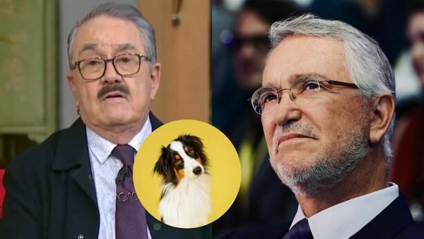 Pedro Sola y Salinas Pliego rompen silencio tras polémicos comentarios del conductor sobre mascotas. (@RicardoBSalinas | X).