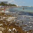 Las 5 playas que debes evitar estas vacaciones de verano 2026, según Cofepris. (ChatGPT).